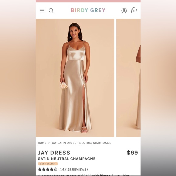 Birdy Grey Dresses & Skirts - Birdy Gray Jay Dress - XS - Neutral Champagne Satin